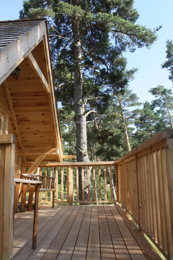 Cabane Lodge Domaine Du Lac Chambon Мурол Екстериор снимка