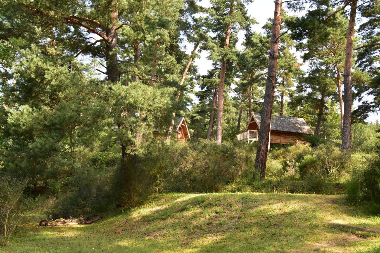 Cabane Lodge Domaine Du Lac Chambon Мурол Екстериор снимка